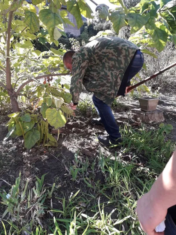 День самоврядування – до Дня вчителя