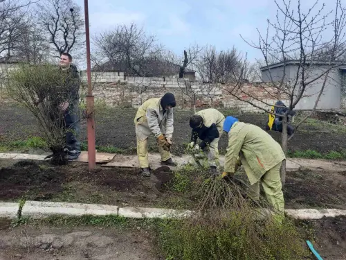 Відкрити зображення до новини: Акція «Зелена весна» в ДЦПТО