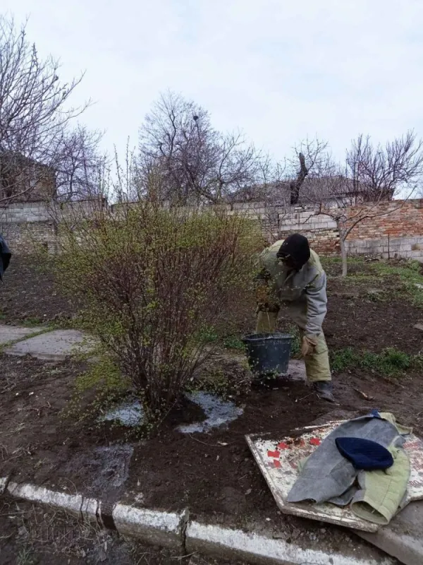 Акція «Зелена весна» в ДЦПТО
