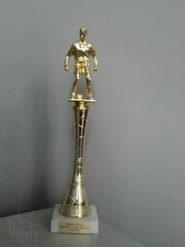 ДЦПТО спортивний