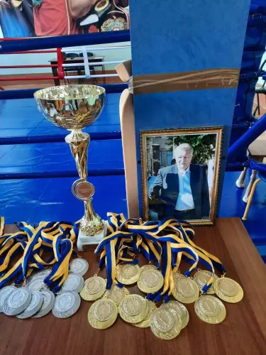 Відкрити зображення до новини: Турнір з боксу пам'яті Олексія Шевеля
